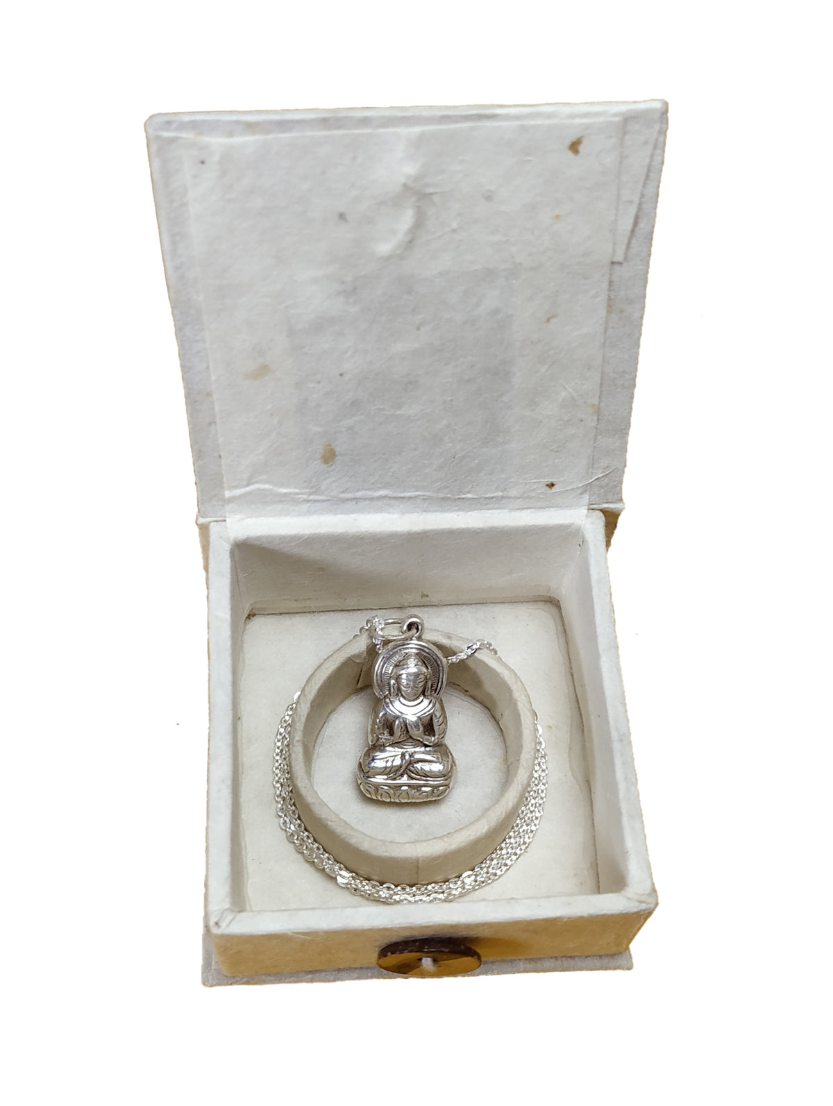 Divine Protection: Blessed Buddha