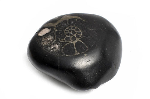 Why Shaligram?