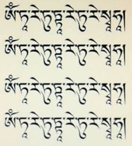 Monk Blessed Tibetan Protection Amulet (Note)